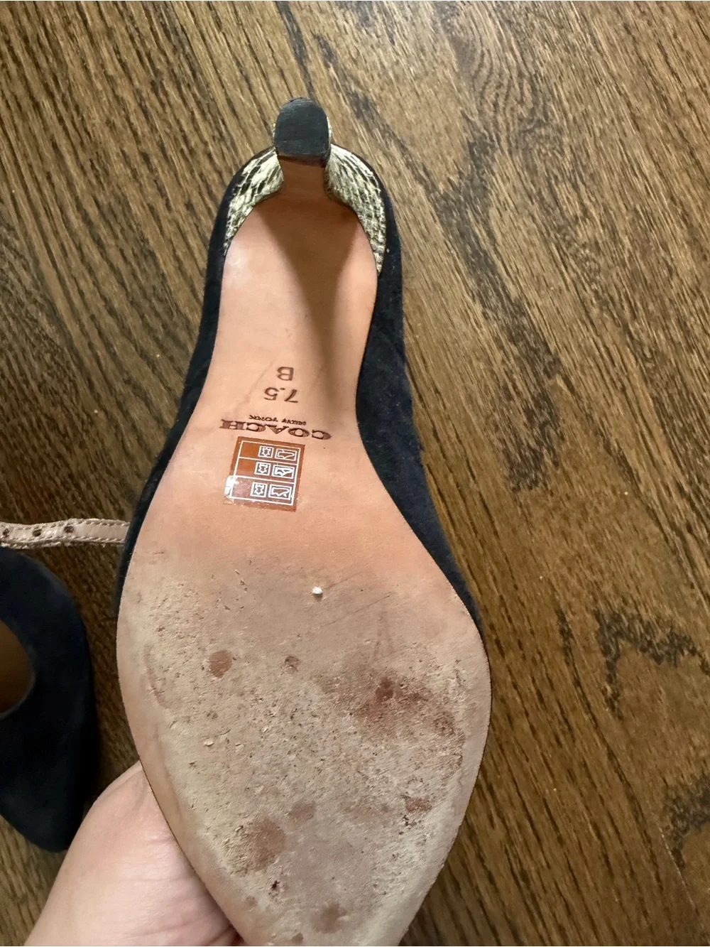 Coach Black Suede Pointed-Toe Pumps with Snake-Print T-Strap Size 7